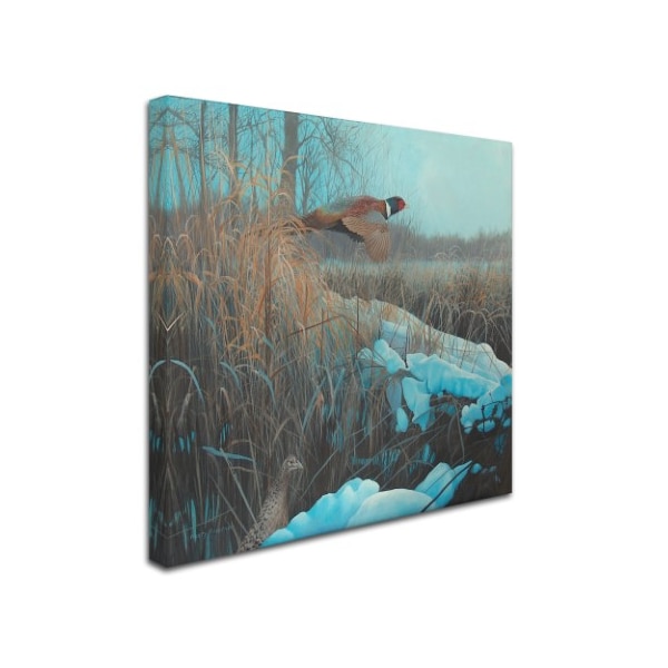 Rusty Frentner 'Pheasant Acrylic 067' Canvas Art,14x14